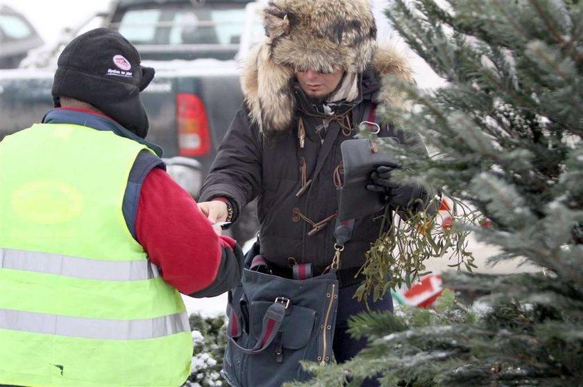 Znany gej z jemiołą. Ale będzie całowanie!