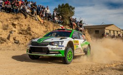 Skoda nie planuje budowy samochodu WRC