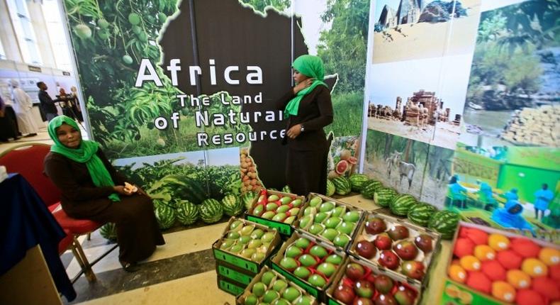 African produce on display at the UN's Food and Agriculture Organization regional conference in Khartoum