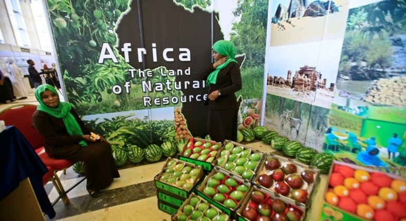 African produce on display at the UN's Food and Agriculture Organization regional conference in Khartoum