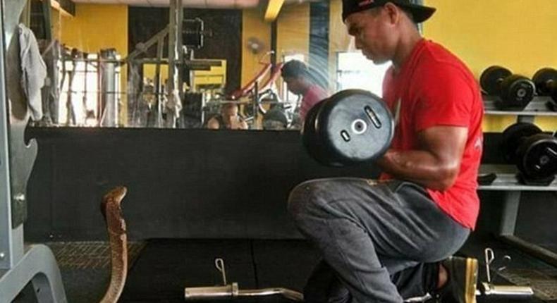 The pair were spotted at the gym as the snake looks on.