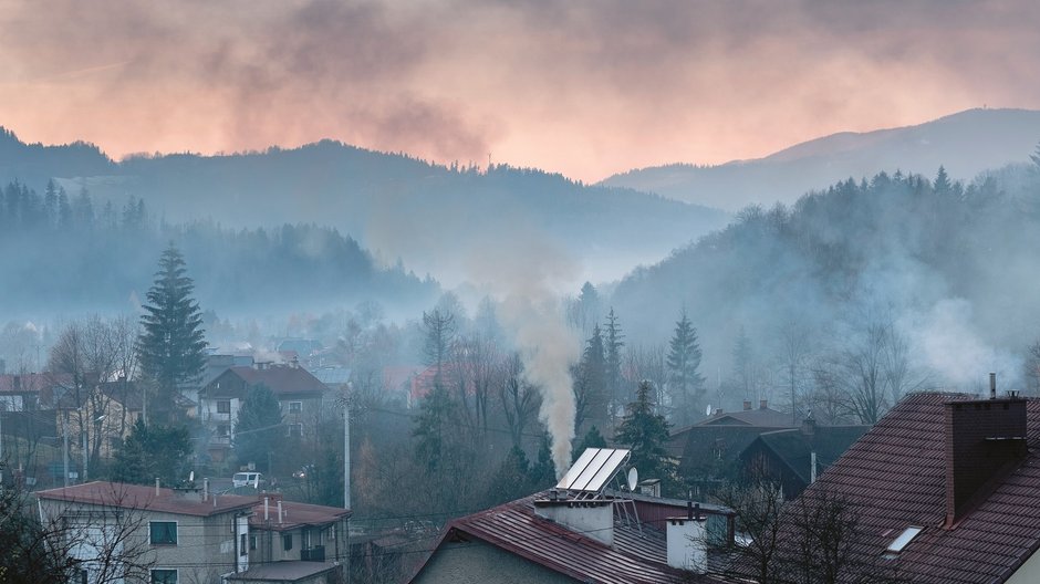 Europejska Agencja Środowiska szacuje, że w 2019 r. smog spowodował w Polsce blisko 39,3 tys. przedwczesnych zgonów.