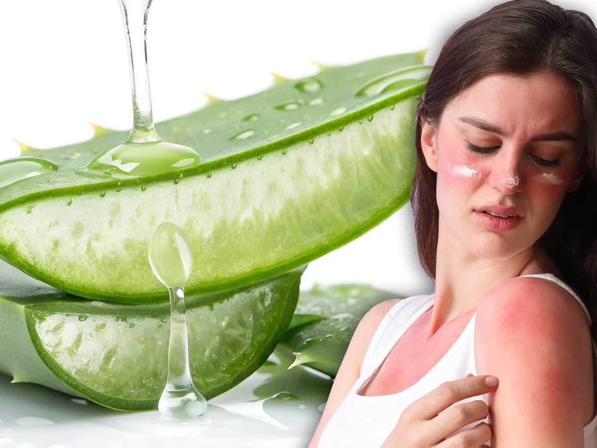 cedis gel aloe vera Organic Aloe Vera Gel 16oz Pure, Alcohol Free Moisturizer main image 1