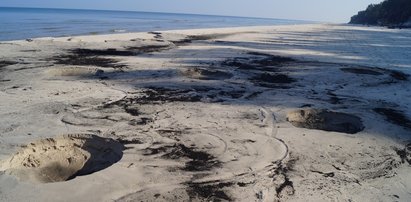 Złodzieje bursztynu niszczą plaże!