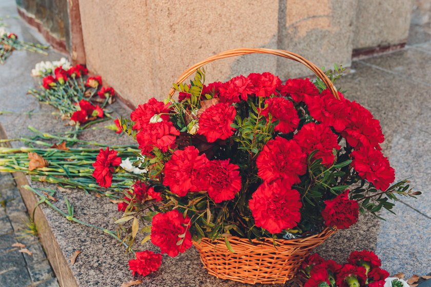 Jakie wybrać kwiaty na cmentarz? Nie tylko chryzantemy dobrze znoszą chłody