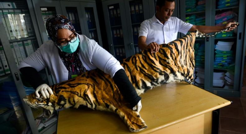 Tigers -- thought to number just 22 in Myanmar -- can now be bred for their meat and skin