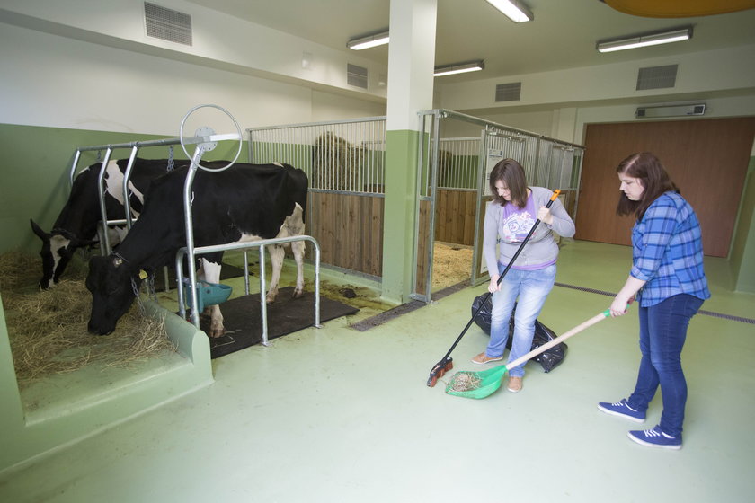 Nowa klinika weterynaryjna