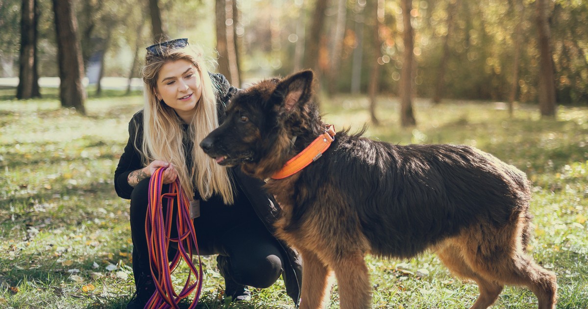 "Kochające domy" są często przekleństwem dla psa. "Kupują stos zabawek, ale nie mają czasu wyjść"