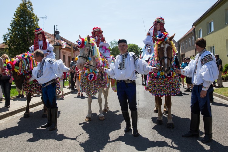 Jazda Królów.   fot. Lukáš Žentel