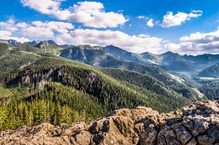Duże zainteresowanie kursem na baców i juhasów. Wśród kandydatów pracownicy biur