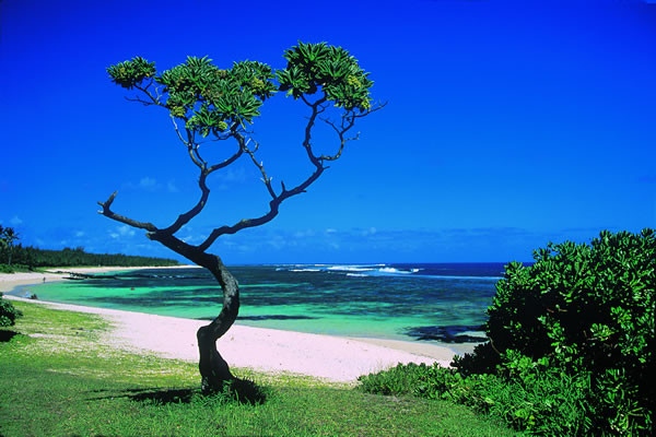 Mauritius - rajska kraina błękitu