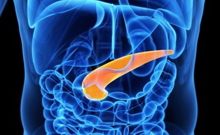 Przełom w leczeniu cukrzycy. Naukowcy otrzymali komórki wysp trzustkowych