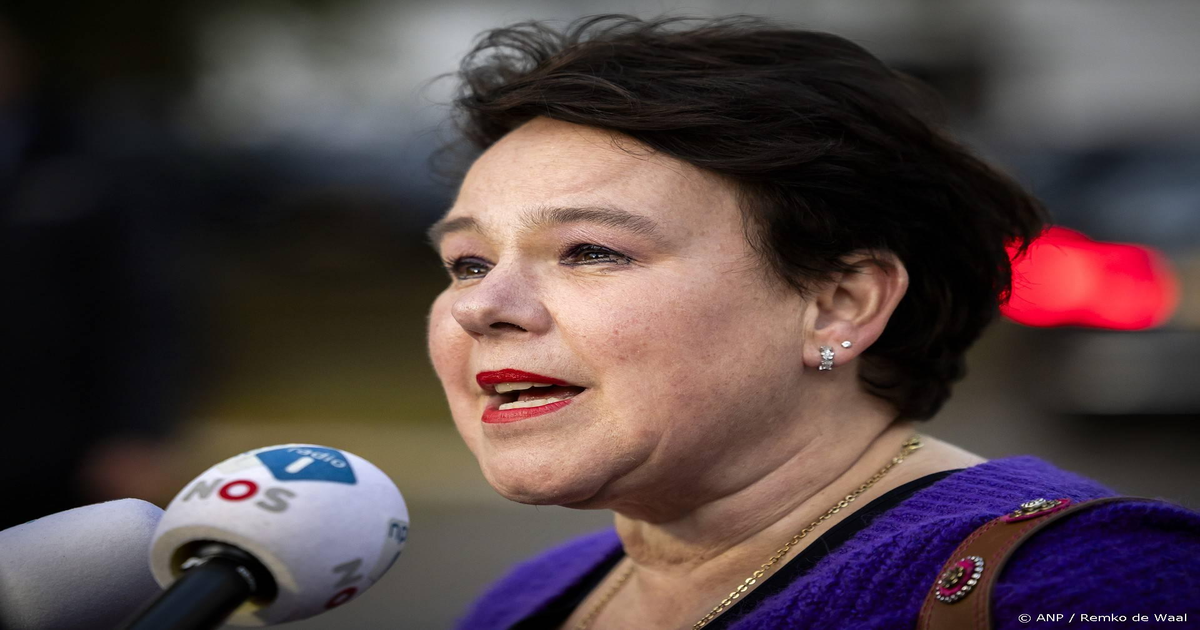 VNG waarschuwt: Nederland zakt dieper weg in politiek moeras