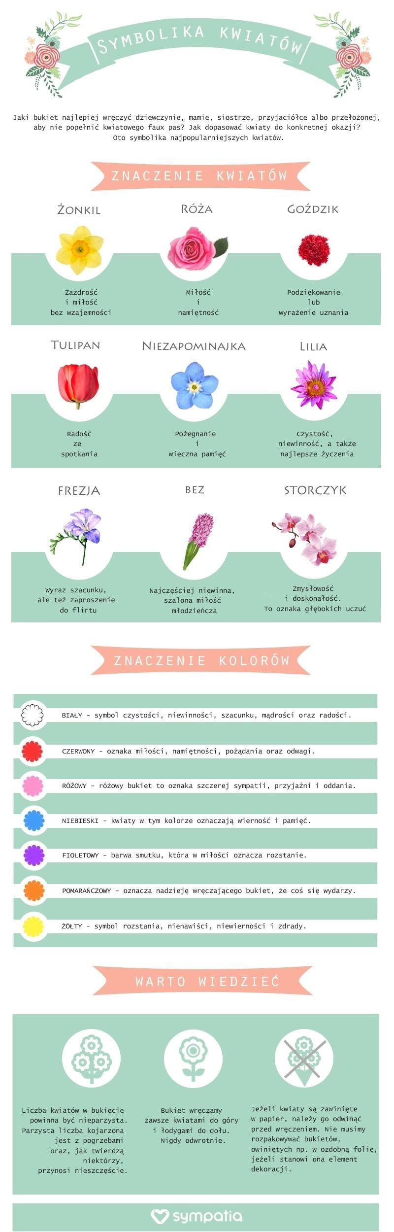 Symbolika kwiatów [INFOGRAFIKA]