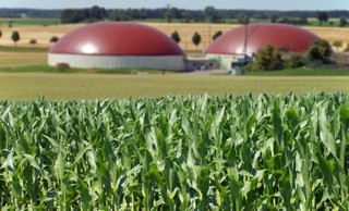 Bonter: Biogaz to szansa na niezależność energetyczną dla Polski