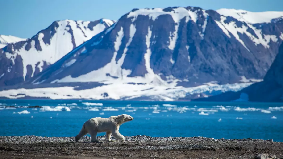 Spitsbergen - Arktyka