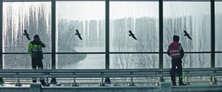 Minister donosi do prokuratury sam na siebie? Kontrowersyjne ekrany wśród pól