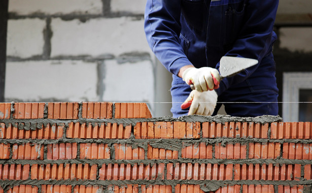 Polak buduje dom. Chciałby mały ekologiczny, a wznosi willę z betonu