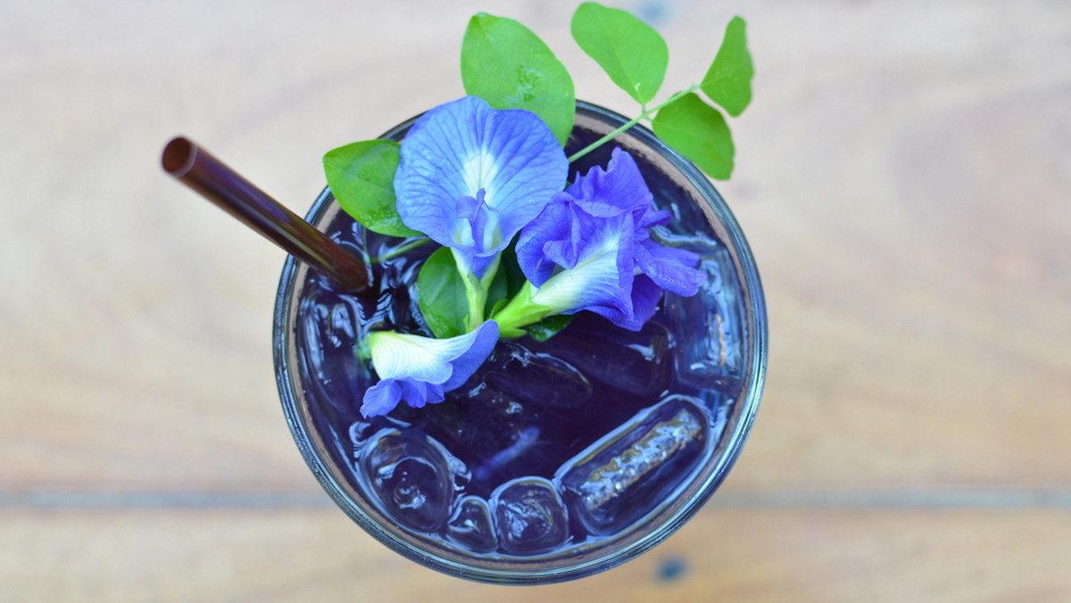 shutterstock_649671361, butterfly pea tea, herbata, zioła, kwiaty, napar