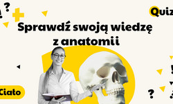 Gdzie w ludzkim ciele jest błędnik? A grasica? Quiz z anatomii