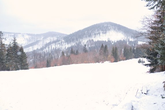 Beskid Żywiecki