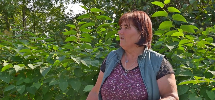 Indira Radić, emisija "Metar moga sela"