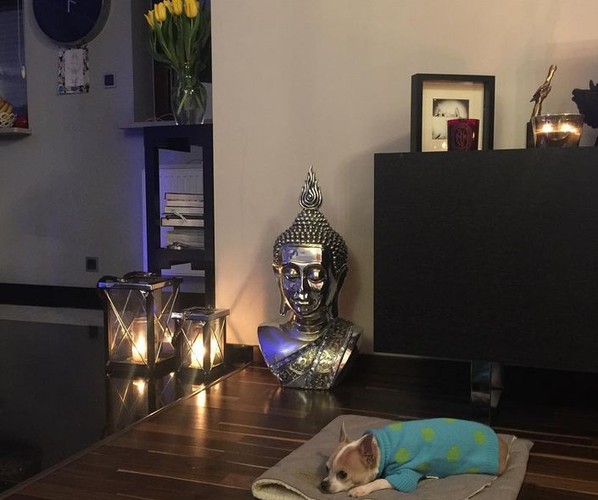 mieszkanie Natalii Siwiec