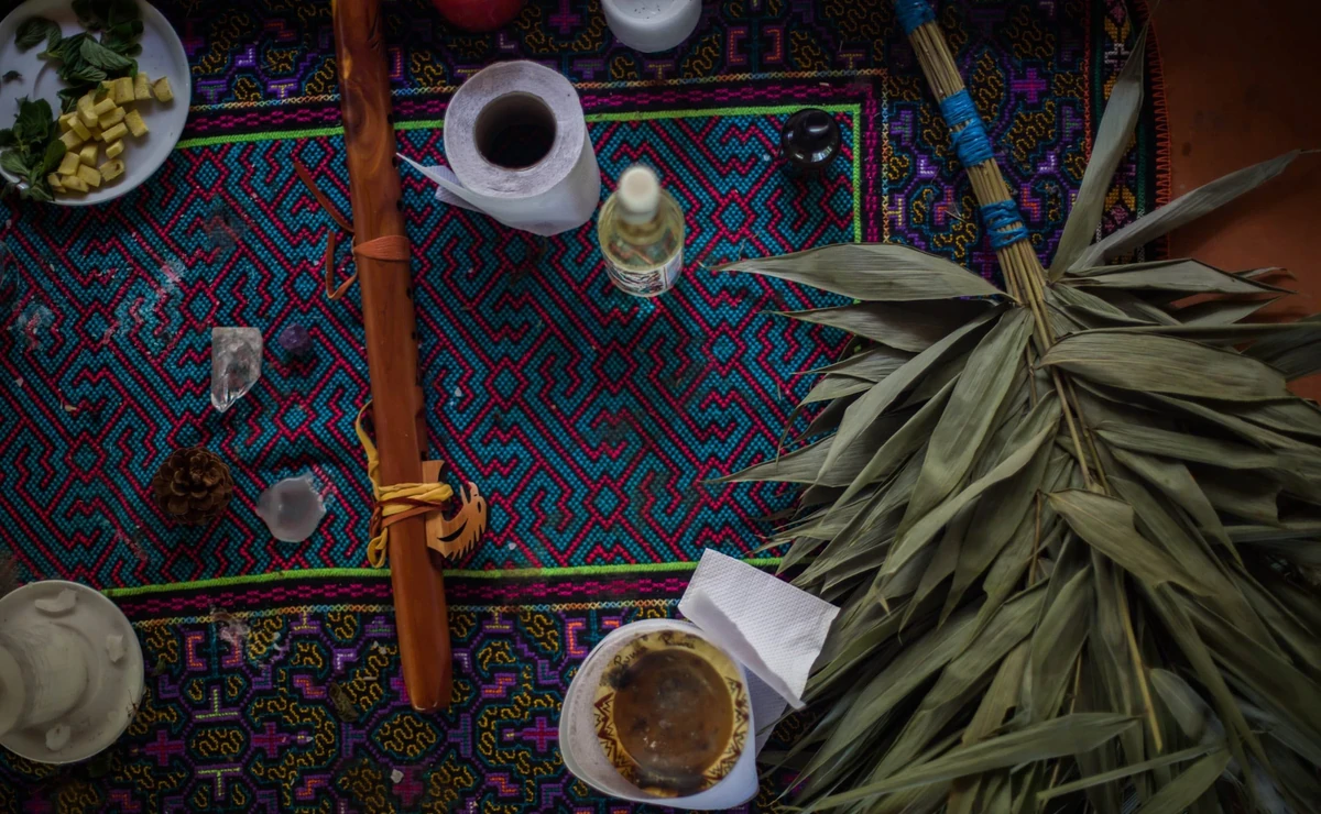 Poláci odsouzení českým soudem za pseudošamanistické ayahuaskové rituály