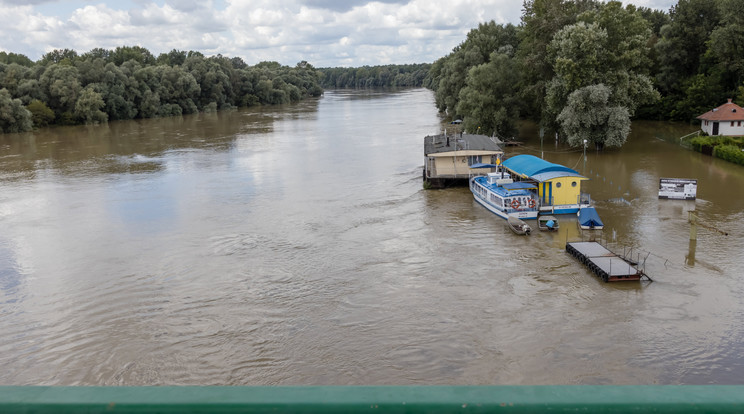 A Drávánál egyre többen akarják látni az áradást MTI/Katona Tibor