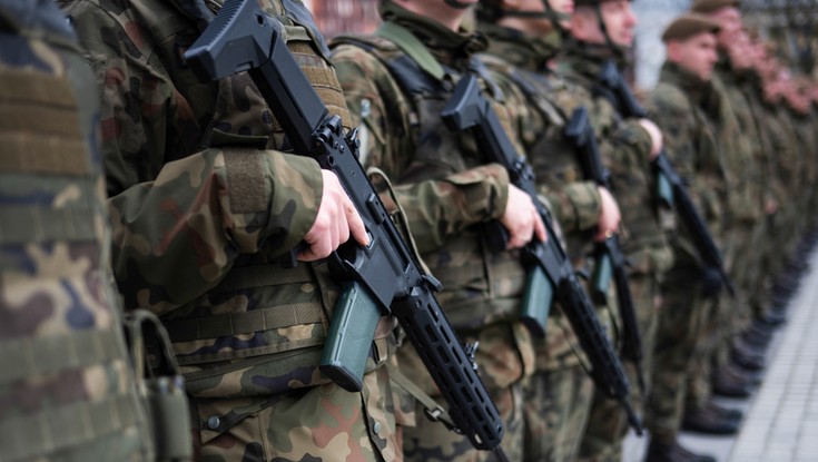 Polonizacja zakupów dla wojska. Nie wszystko wgląda tak kolorowo