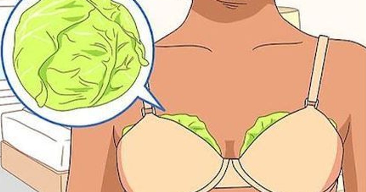 Why women put cabbage leaves on their breasts Pulse Nigeria