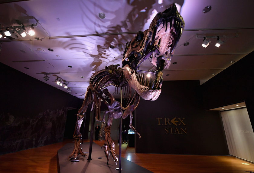 Imponujący rekord na aukcji. Szkielet tyranozaura sprzedany za ogromną sumę