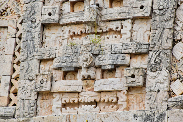 Naukowcy odkryli dawną świątynię Majów, która miała ogromną wartość dla starożytnej cywilizacji / zdjęcie ilustracyjne