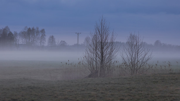 Mgła nad polami