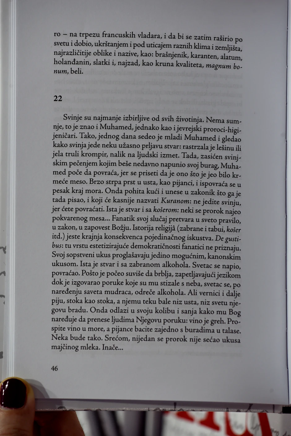 Strana iz knjige Peščanik koja bi mogla da bude "sporna" bošnjačkim organizacijama