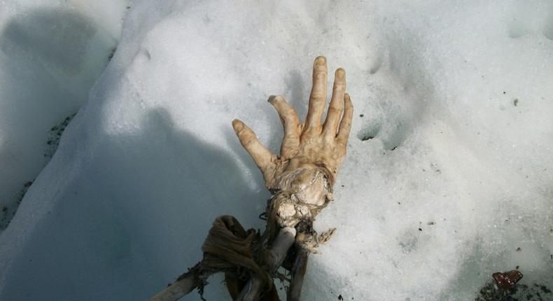 A hand and part of a leg that could belong to passengers killed in two Air India plane crashes at least 50 years ago have been found on Mont Blanc, Western Europe's highest mountain