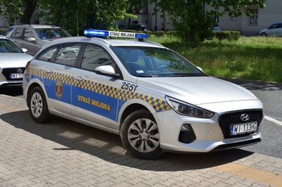 Straż miejska zmienia się w ekologiczną. Będą surowe kary za trucie środowiska