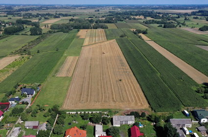 Co dalej z CPK? Rolnicy planują wiosenne prace polowe. "Nowa władza daje nadzieję"