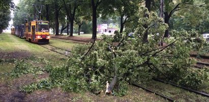 Burze przechodzą nad Łódzkiem. Aktualizacja