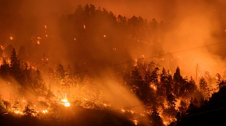 Elképesztő erdőtűz pusztít Svájcban / Fotó: MTI/AP/Keystone