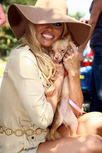 Pamela Anderson podczas akcji PETA na rzecz bezdomnych psów w LA