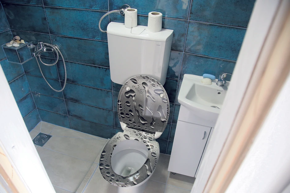 Predrag Peđa Damjanović