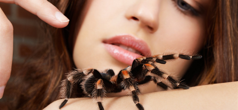 Quiz dla odważnych - sprawdź, czy rozpoznasz pająka po zdjęciu i... czy dotrwasz do końca! [QUIZ]