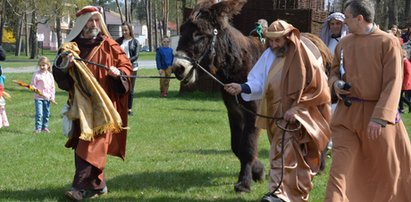 Bunt osiołka na procesji. Nie chciał wieźć Jezusa