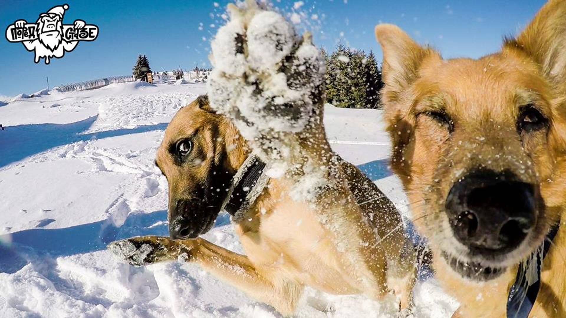 "Pored staze": Film za one koji slobodu vide u dubokom snegu