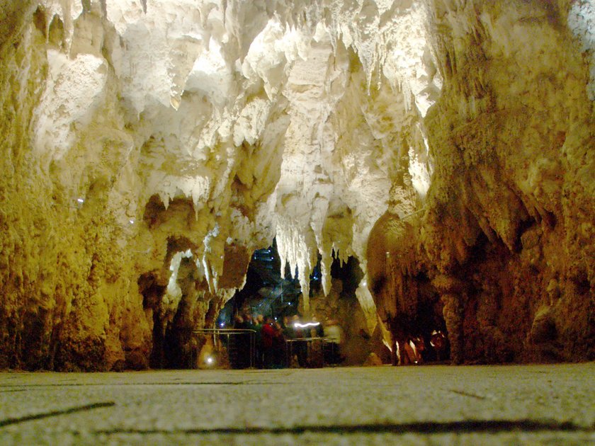 Waitomo Glowworm, Nowa Zelandia