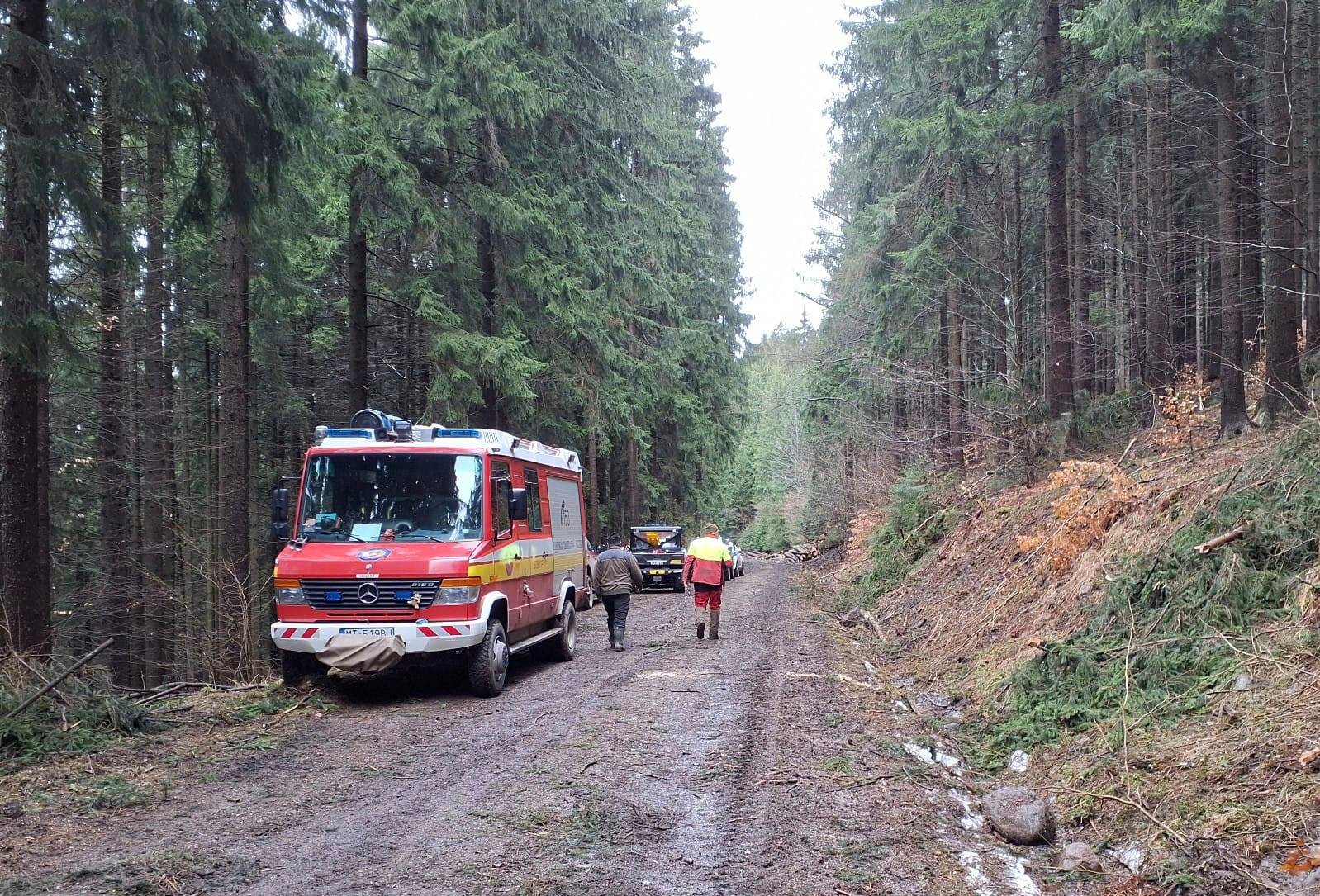 V lese v katastri Hornej Štubne sa zranil pilčík.