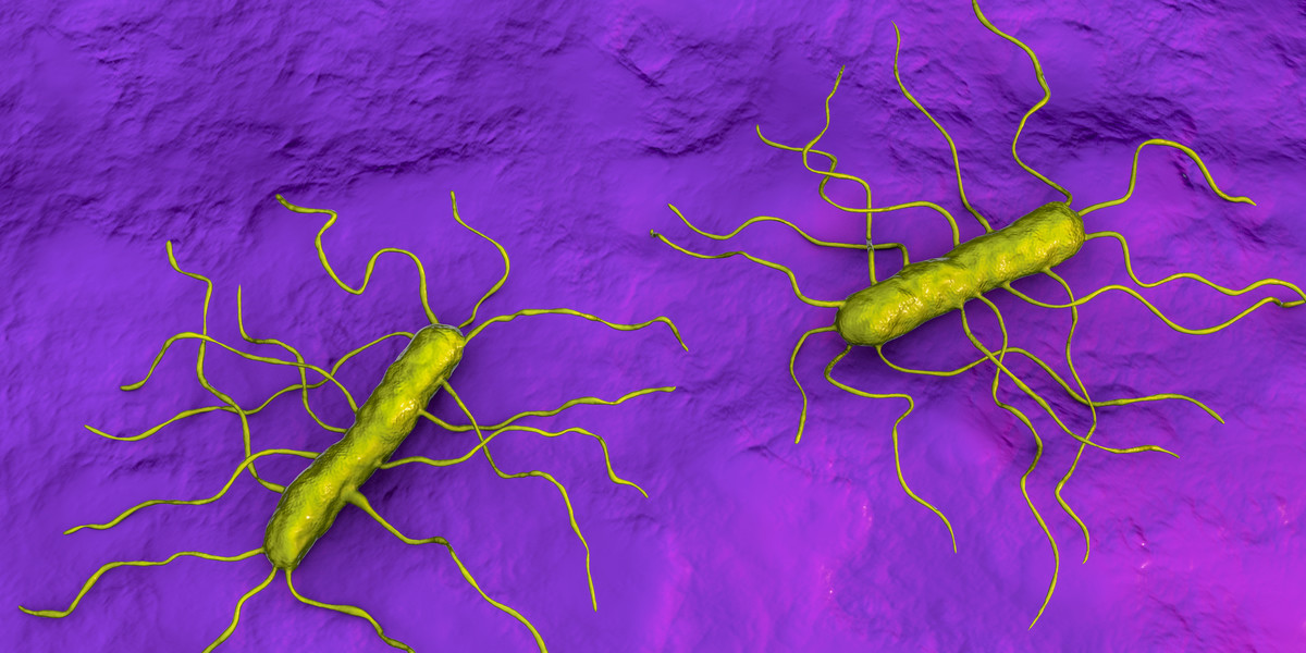 GIS podał, że stwierdzono obecność bakterii Listeria monocytogenes w określonej partii metki łososiowej.