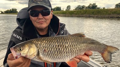 Jednoznaczne słowa naukowca o katastrofie w Odrze. "Stoi za tym działanie człowieka"