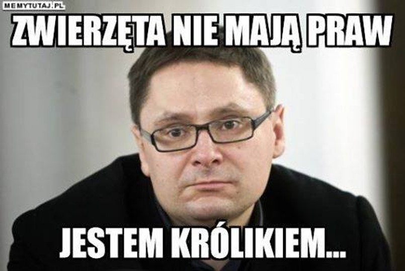 Tomasz Terlikowski twierdzi, że jest dumny z bycia królikiem. Nie pamięta już tego, co mówił o prawach zwierząt?